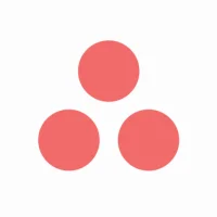 Asana: werkmanagement