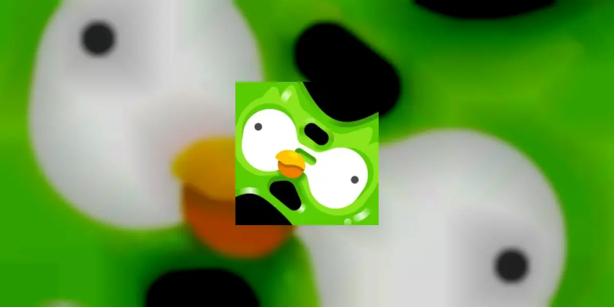 Duolingo: Taallessen